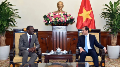 Phó Thủ tướng, Bộ trưởng Ngoại giao Bùi Thanh Sơn tiếp Giám đốc Trung tâm Di sản thế giới của UNESCO