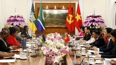 Standing member of the Secretariat Tran Cam Tu holds talks with First Deputy Secretary General of the ANC Party, South Africa