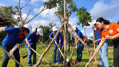 Les Vietnamiens d'outre-mer participent au « Festival de plantation d'arbres pour se souvenir à jamais de l'Oncle Ho »
