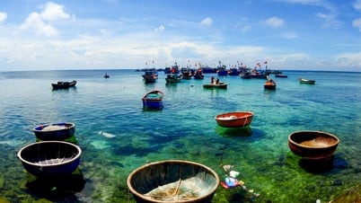 Panorama de Quang Ngai, una ciudad que pronto tendrá montañas, bosques y mar