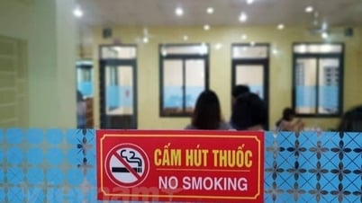 ប្រសិទ្ធភាព​នៃ​គោលនយោបាយ​ពន្ធដារ​នៅ​ប្រទេស​ថៃ និង​ហ្វីលីពីន តើ​មាន​ទិសដៅ​អ្វី​សម្រាប់​វៀតណាម?