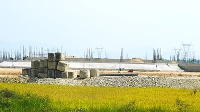 Resolutely resolve site clearance problems for key projects
