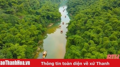 Rafting en el arroyo Cham: una experiencia tranquila en Chieng Lau