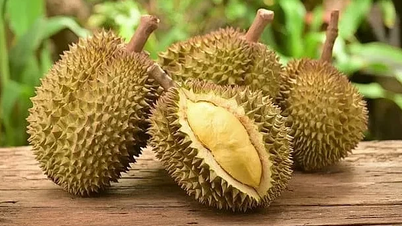 ส่งออกทุเรียน: เร่งรักษาตลาด