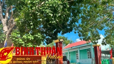 Khẩn trương rà soát, có phương án xử lý trụ sở, nhà đất công thuộc diện sắp xếp