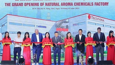 テックヴィナがフンイエンに天然芳香剤工場を開設