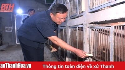 Xã khó tìm cách nâng cao tiêu chí thu nhập