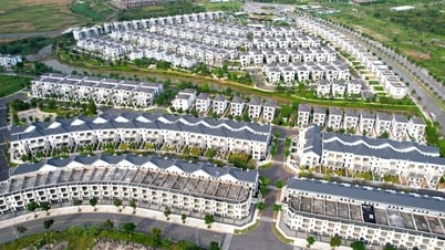 Novaland muốn phát hành cổ phiếu để hoán đổi nợ cho nhóm của ông Bùi Thành Nhơn