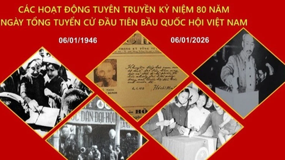 Gia Lai déploie un plan de propagande pour le 80e anniversaire des premières élections générales visant à élire l'Assemblée nationale vietnamienne