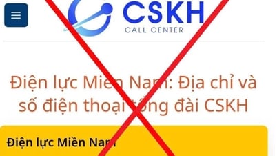 Xuất hiện website giả mạo Trung tâm chăm sóc khách hàng EVNSPC