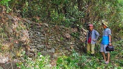 Cho phép khai quật khảo cổ tại di tích Trường Lũy Bình Định