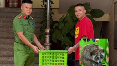 Discovering a rare wild animal running out into the street, people captured it and handed it over to the commune police.