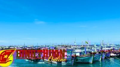Establecimiento de una zona de protección de los recursos pesqueros en la zona marítima de Ham Thuan Nam – La Gi