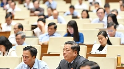 Kiến nghị các địa phương tiếp tục thực hiện cơ chế, chính sách đặc thù sau sáp nhập