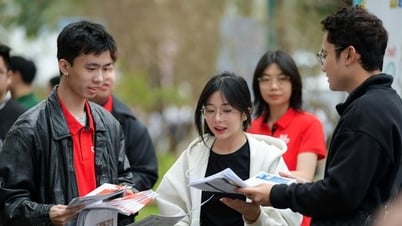 Bộ GD&ĐT công bố khung quy đổi giữa các phương thức xét tuyển đại học