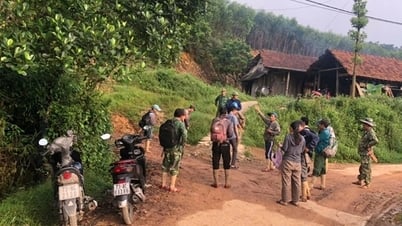 Plus de 60 personnes mobilisées pour rechercher un homme disparu qui s'était rendu dans la forêt pour chercher du miel