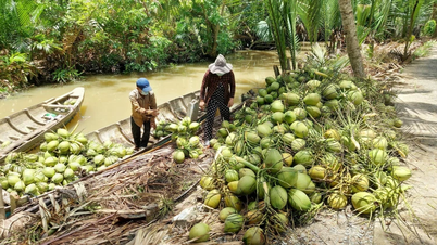 Investir des ressources pour développer l'économie agricole de manière efficace et durable