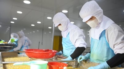 ダクノンの企業は電気料金の上昇に適応している