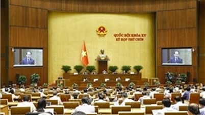 Working Week 3, Session 9, National Assembly XV