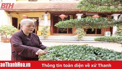 Vénérable Thich Dam Hoa - un brillant exemple de bonne vie et de bonne religion