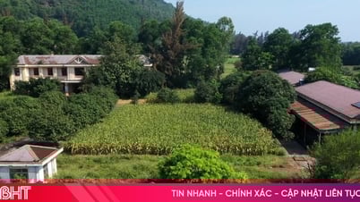 Trung tâm dạy nghề người khuyết tật nhiều tỷ đồng bỏ hoang gần 10 năm