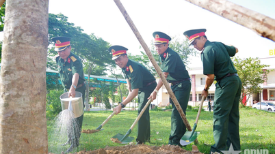Bệnh viện Quân dân y 16 phát động “Tết trồng cây đời đời nhớ ơn Bác Hồ”