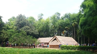 Những bàn tay nối dài ký ức Làng Sen