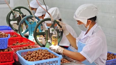 Di Linh: Đề nghị chuyển giao các nhãn hiệu tập thể về cấp sở quản lý tạm thời