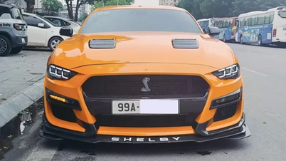 Precioso Ford Mustang 5.0 Shelby GT500 en "Bac Bling"