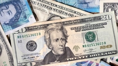 Tỷ giá USD hôm nay (19-5): Đồng USD neo ở mốc quan trọng