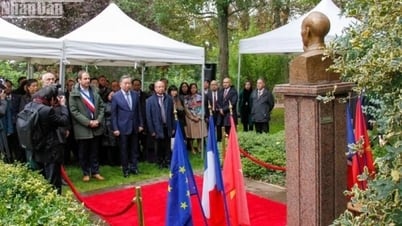 Profonde affection des amis internationaux