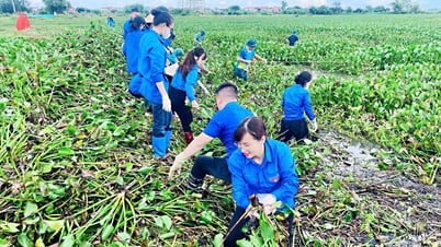 Lan tỏa những giá trị tốt đẹp trong cộng đồng