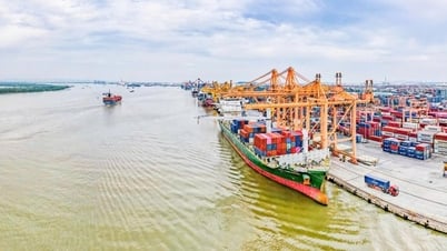 El transporte marítimo mantiene un fuerte impulso de crecimiento