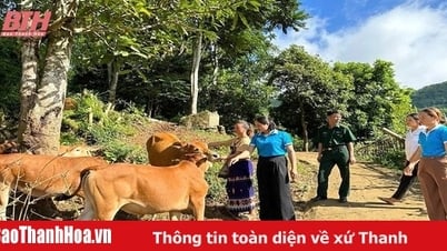 การพัฒนาเกณฑ์การผลิตในชุมชนภูเขาชนบทแห่งใหม่