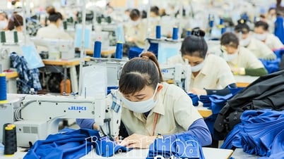 Reestructuración para que el negocio funcione de manera más efectiva