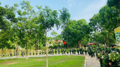 សេវាកម្មជំរុំរដូវក្តៅកំពុងរីកចម្រើន