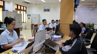អនុវត្តគោលនយោបាយ និងរបបក្នុងការរៀបចំអង្គការ