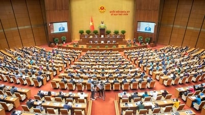 เสนอให้คงระเบียบให้ประธานศาลฎีกาตอบคำถามจากสภาประชาชนจังหวัด