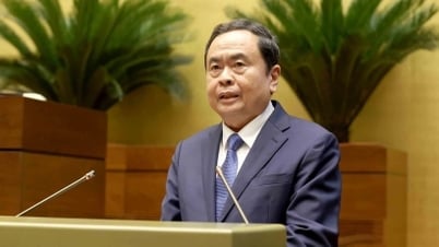 Hoàn thiện thể chế song song với thi hành nghiêm minh pháp luật