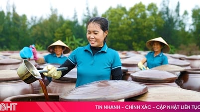 Các cơ sở chế biến nước mắm truyền thống ở TX Kỳ Anh gia tăng sản xuất