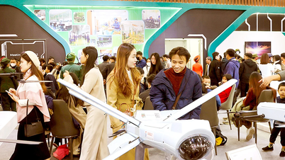 Acompañando el fomento del ecosistema de innovación