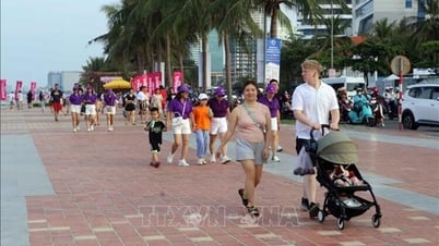 Tourisme au Vietnam : renforcer l'attractivité pour percer