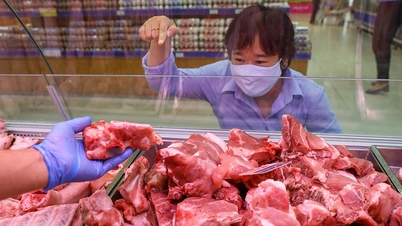 Schweinefleischpreis heute 2/5: Stabiler Markt