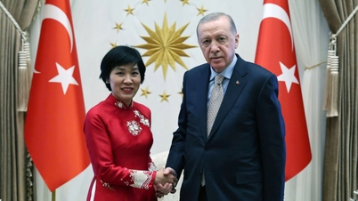 La Embajadora Dang Thi Thu Ha presenta sus cartas credenciales al Presidente de Turquía