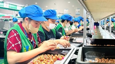 Doanh nghiệp ở Hải Dương giúp công nhân hưởng lợi
