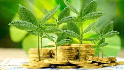 كتالوج التصنيف الأخضر - الأساس القانوني لتسريع الائتمان الأخضر