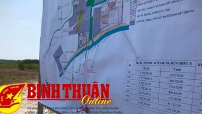 Parque Industrial Son My 1 (Ham Tan): Centrados en eliminar obstáculos y preparar terrenos para proyectos de "mil millones de dólares"