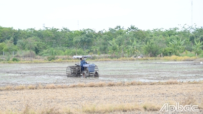 La zone d'adoucissement de Go Cong sème la récolte de riz d'automne-hiver du 10 au 25 mai