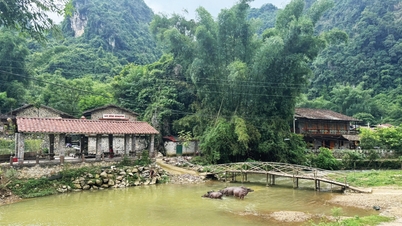 Trend zur Kombination von Reisen und Arbeit - Cao Bang Electronic Newspaper