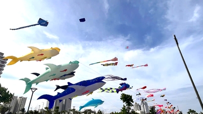 Vung Tau está lleno de turistas, la seguridad y el orden están garantizados.